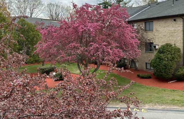 1 Lancelot Court photos photos