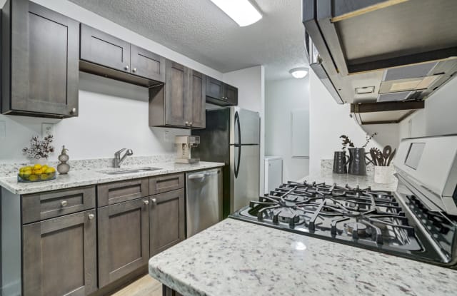 Chelsea Apartments photos photos