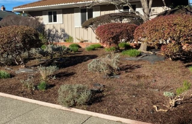 22 Enterprise Dr. - 22 Enterprise Drive, Corte Madera, CA 94925