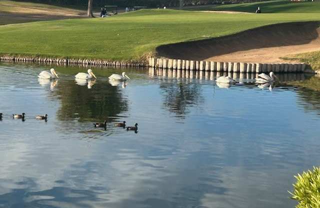 3800 South Cantabria Circle photos photos