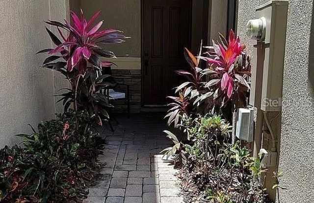 8041 PRESTBURY DRIVE photos photos