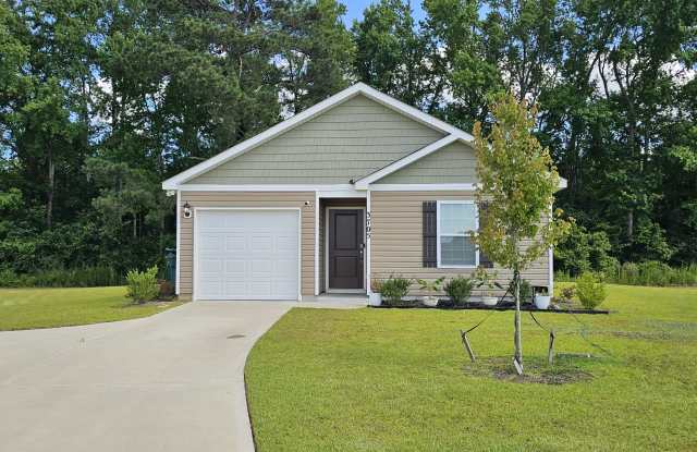 3705 Stallion Drive Sumter, SC 29153 photos photos