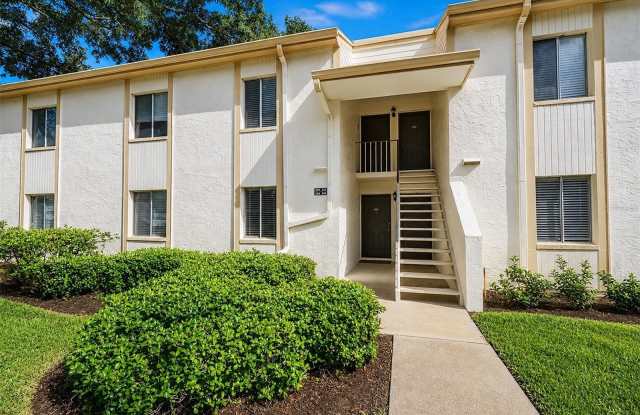 205 PALMETTO Court Gallery 1