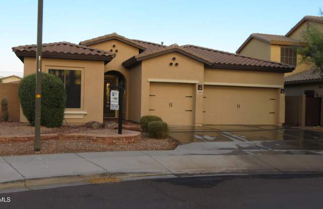 30899 N 125TH Drive Gallery 2