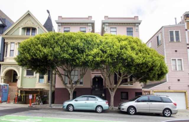 430 Scott Street #6 Gallery 2