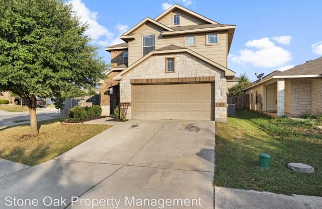 11328 Autumn Ash Dr - 11328 Autumn Ash Drive, Austin, TX 78652