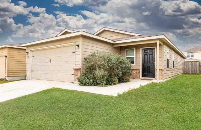 342 MISTFLOWER photos photos