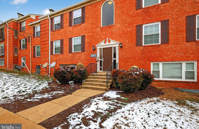 3807 SWANN Road unit: 304 photos photos