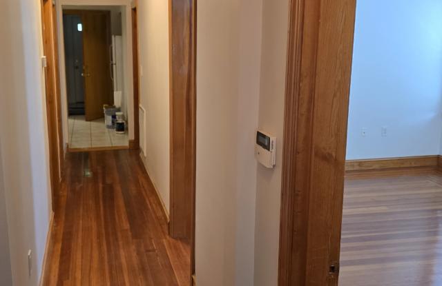 46 Waverley Street Gallery 3