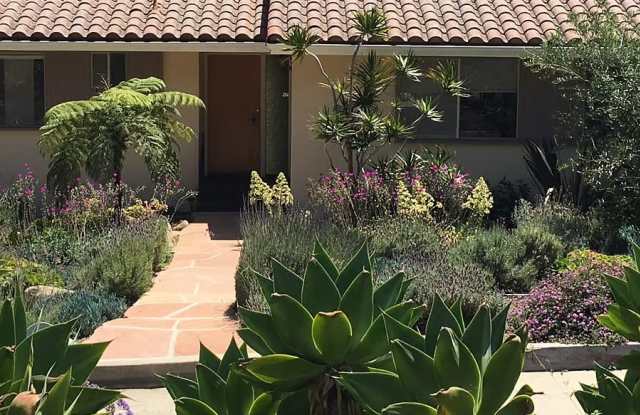 911 Paseo Ferrelo photos photos