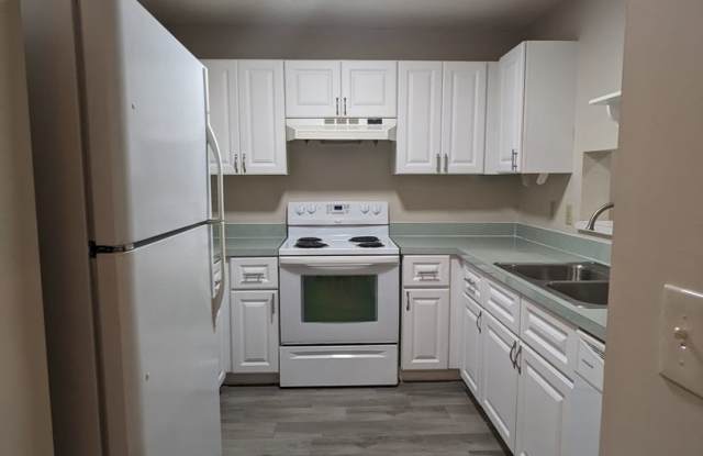 **Coming Soon!!**3 Bedroom, 2 Bath with Large Fenced yard, Screen Porch, 1-Car Garage and close to NAS Jax, I-295 Gallery 4