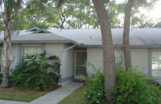 13004 Purdue Pl - 13004 Purdue Place, Temple Terrace, FL 33617