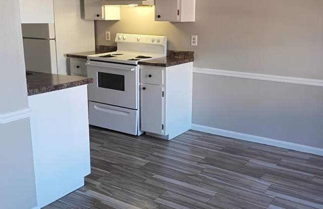 MOVE IN SPECIAL $300 OFF THE FIRST MONTHS RENT! Gallery 3