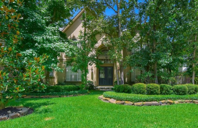 71 Candle Pine Place - 71 Candle Pine Place, The Woodlands, TX 77381