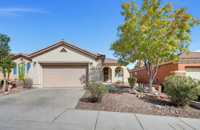 Summerlin Vistas One Story Beauty Gallery 1