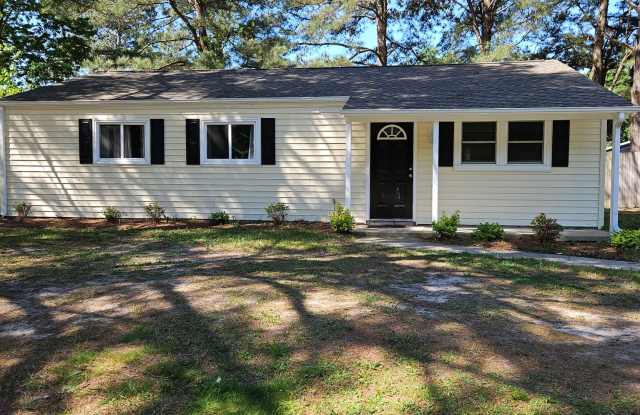 Beautiful home in DUNEDIN area of Chesapeake photos photos