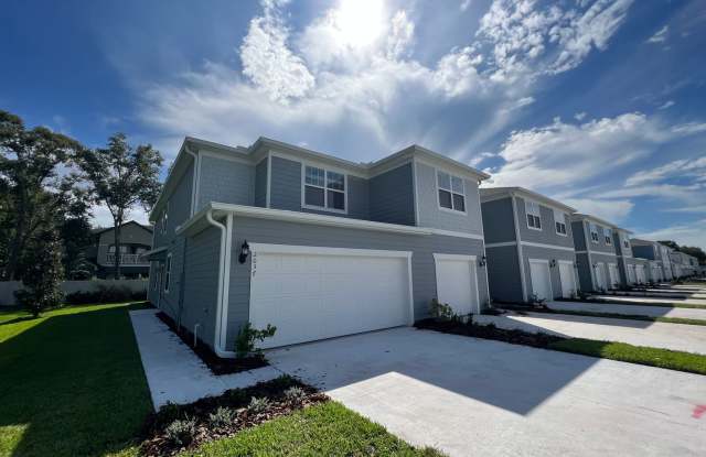 BRAND NEW CONSTRUCTION 3 Bed 2.5 Bath at Grayson Square AVAILABLE IMMEDIATELY!!! - 2037 Canny Cove, Goldenrod, FL 32792