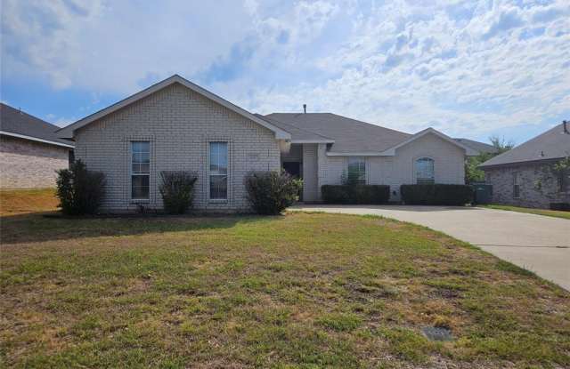 828 Serenity Drive - 828 Serenity Drive, Cedar Hill, TX 75104