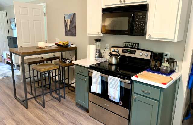 Modern 1 Bedroom Upstairs Apartment in Madison - 212 Lanier Drive, Nashville, TN 37115