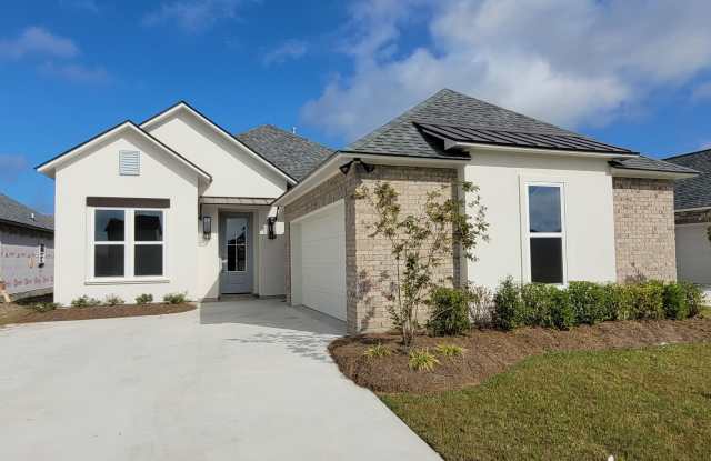 Brand New home in Woodstock Park! - 3043 Creekmere Lane, East Baton Rouge County, LA 70810