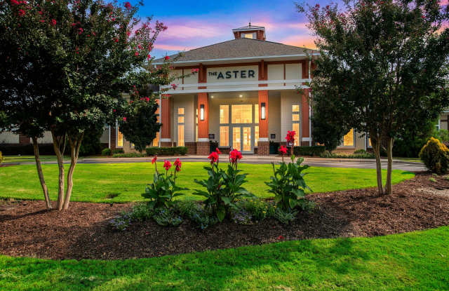 The Aster photos photos The Aster photos photos