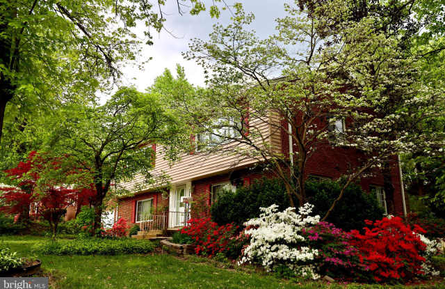 6203 CHERYL DRIVE Gallery 2