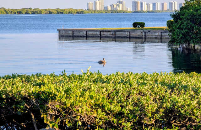 1640 Twelve Oaks Way photos photos