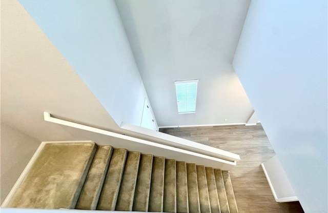3092 Collodi Court Gallery 3