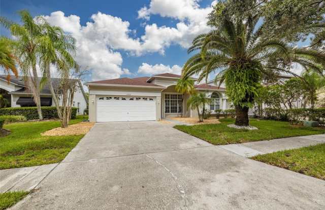 12705 ROYAL GEORGE AVENUE - 12705 Royal George Avenue, Keystone, FL 33556