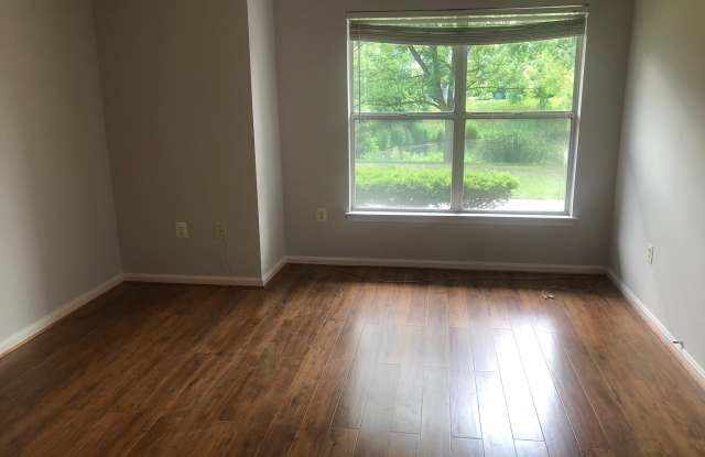 20605 CORNSTALK TERRACE Gallery 4