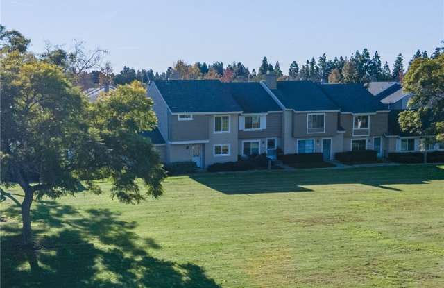 31 Windjammer photos photos