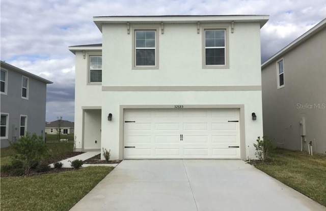 32685 Dashel Palm Ln - 32685 Dashel Palm Ln, Wesley Chapel, FL 33543