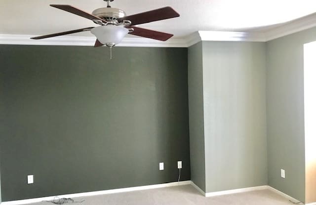 3912 Georgia Gallery 3