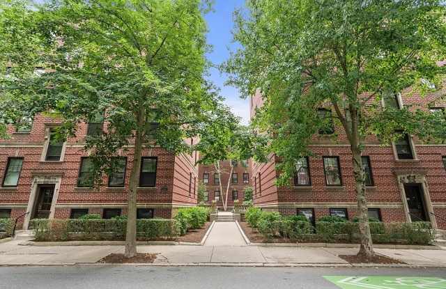 40 Linnaean St Apt 11 photos photos