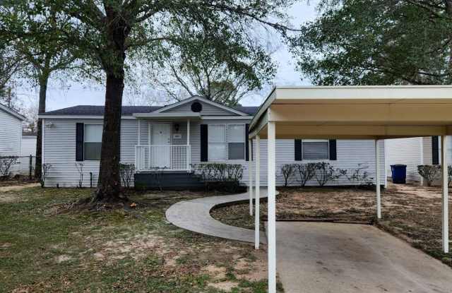 18819 Red Adler Court - 18819 Red Adler Court, Montgomery County, TX 77355