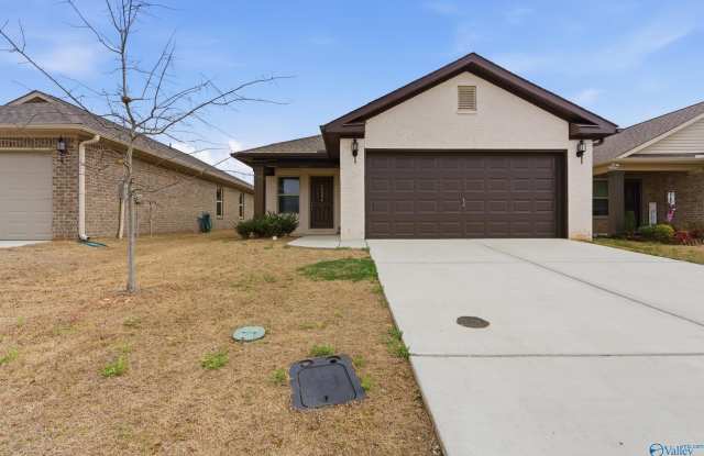 14886 Ravenel Drive - 14886 Ravenel Drive, Limestone County, AL 35749