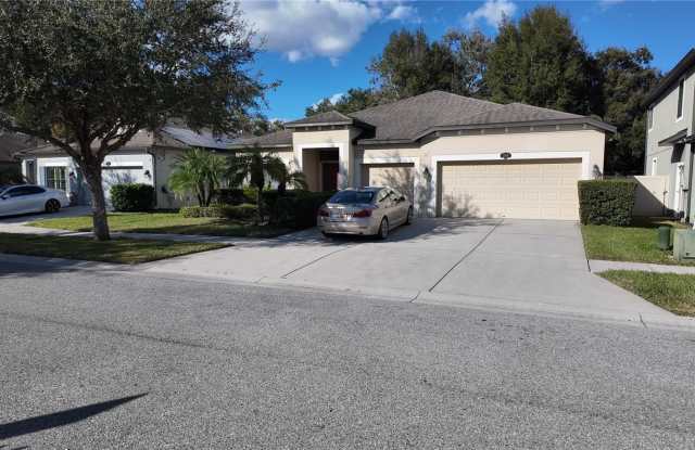 209 DAKOTA HILL DRIVE - 209 Dakota Hill Drive, Seffner, FL 33584