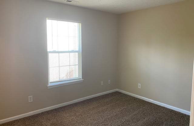10709 Chenille Court Gallery 4
