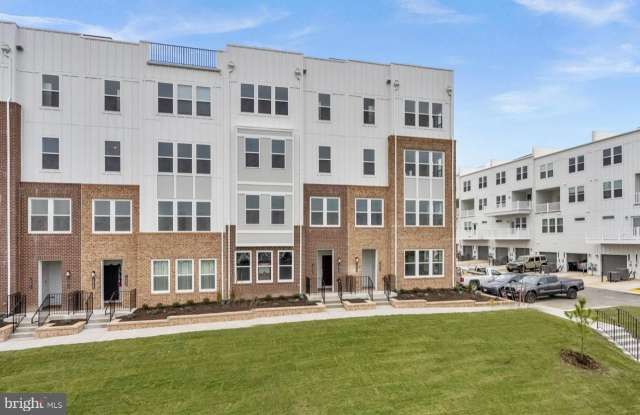 19864 YELLOW DAISY Terrace photos photos