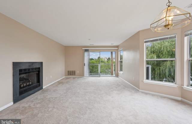 20590 CORNSTALK Terrace Gallery 4