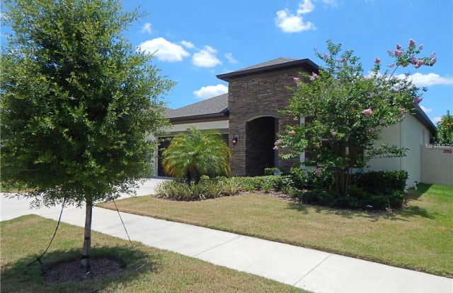 11361 AMERICAN HOLLY DRIVE - 11361 American Holly Drive, Brandon, FL 33578