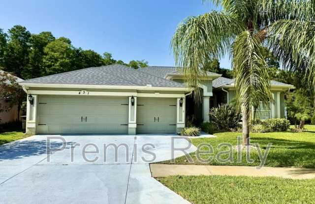 431 Denise Street - 431 Denise Street, Pinellas County, FL 34689