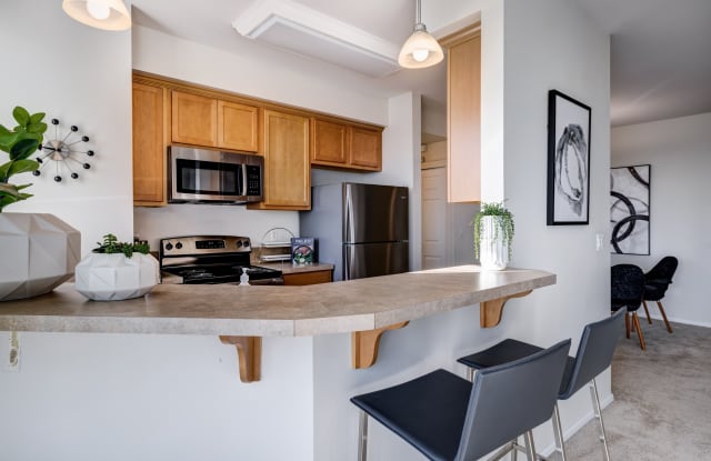 Apex Apartments photos photos