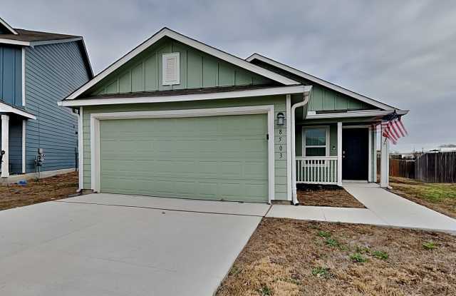 8503 Western Tanager photos photos 8503 Western Tanager photos photos