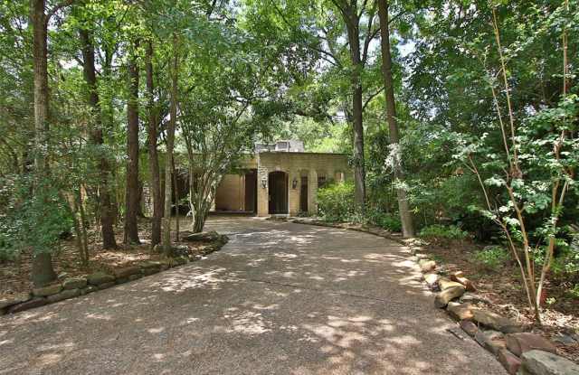 24 Bayou Shadows Street Gallery 2