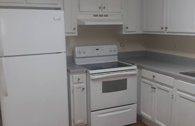 3626 SPRING TRACE Gallery 2