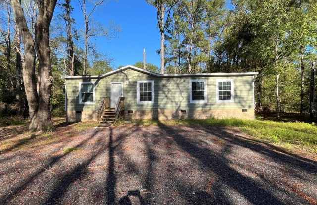 1101 Florida Street - 1101 Florida Street, Darien, GA 31305