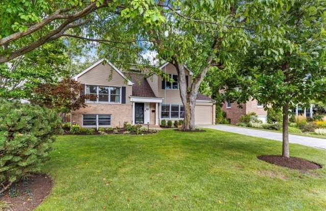 40 Williamsburg Road photos photos