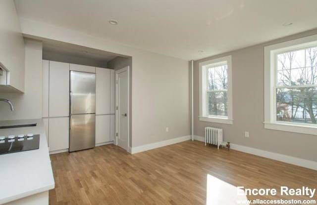 288 Chestnut Hill Ave. - 288 Chestnut Hill Avenue, Boston, MA 02135