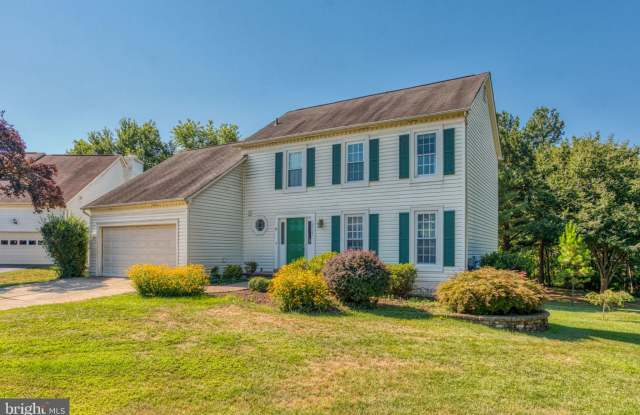 13137 THORNAPPLE PLACE - 13137 Thornapple Place, Franklin Farm, VA 20171